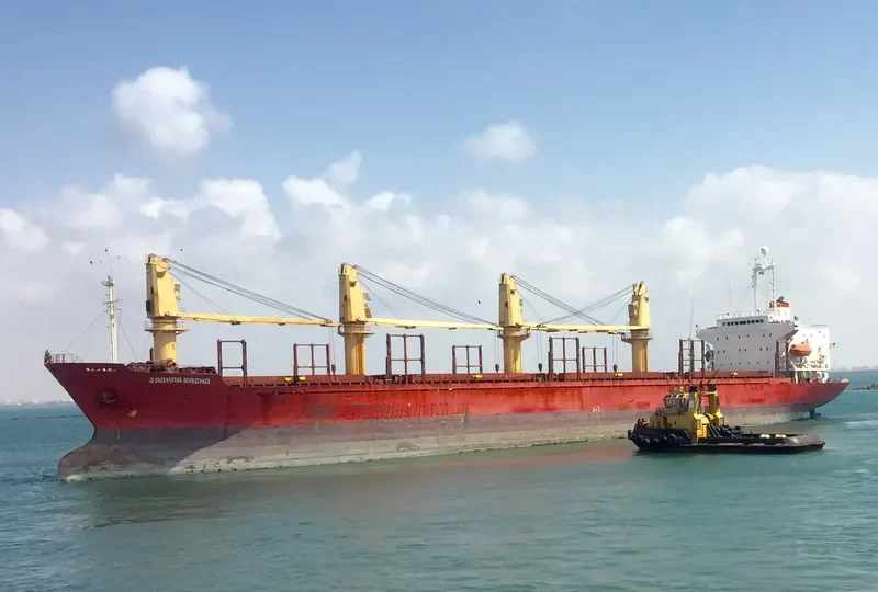 BROTHER 1 Bulk Carrier IMO 9044009 photo 4
