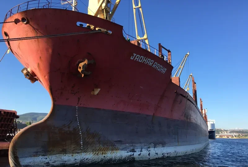BROTHER 1 Bulk Carrier IMO 9044009 photo 5