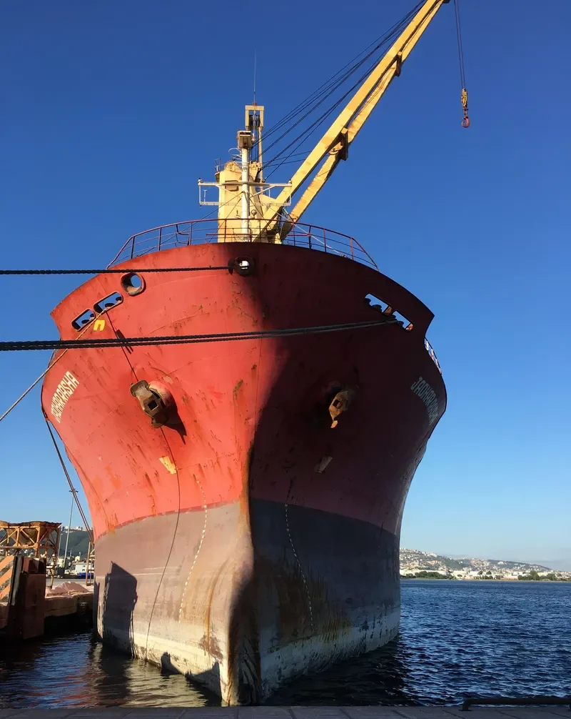 BROTHER 1 Bulk Carrier IMO 9044009 photo 6