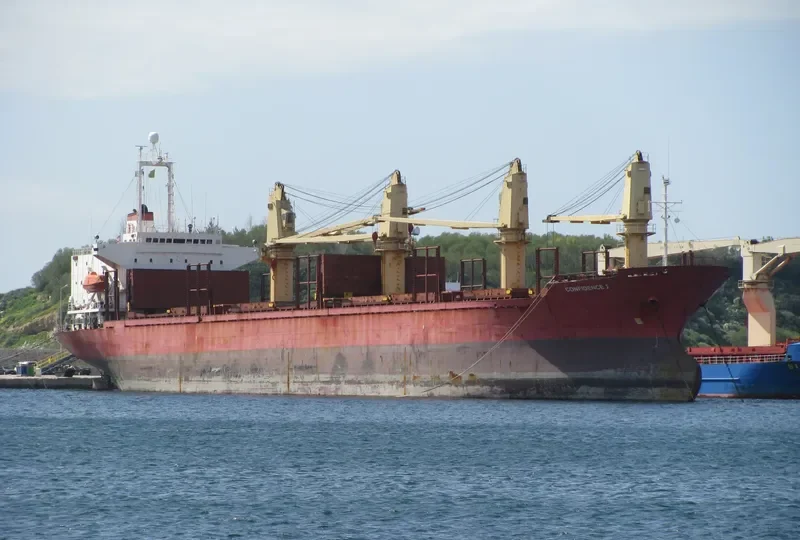 BROTHER 1 Bulk Carrier IMO 9044009 photo 7