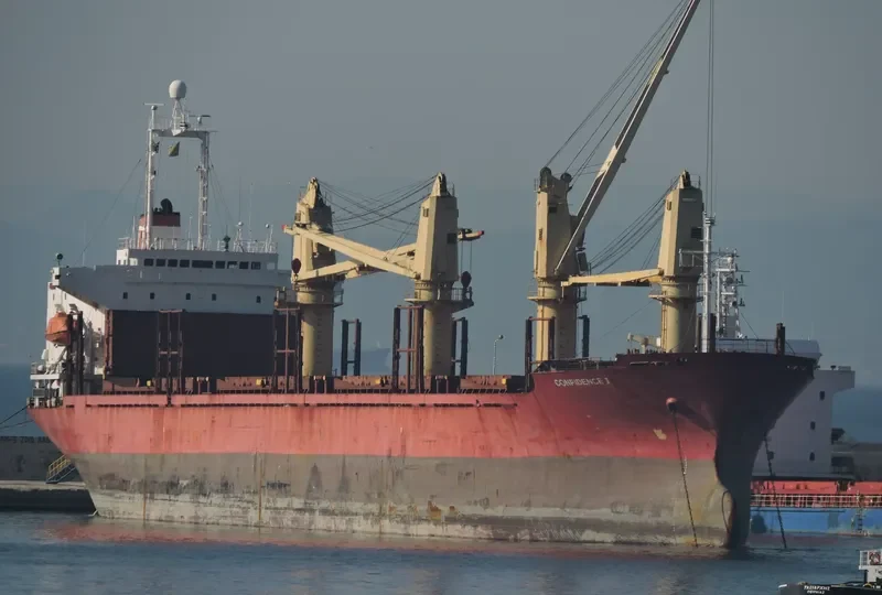 BROTHER 1 Bulk Carrier IMO 9044009 photo 8
