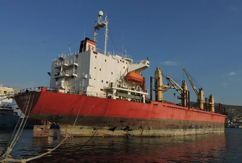 BROTHER 1 Bulk Carrier IMO 9044009 photo 9