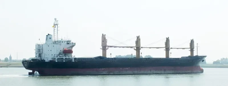 LEO STAR I Bulk Carrier IMO 9044011 photo 3