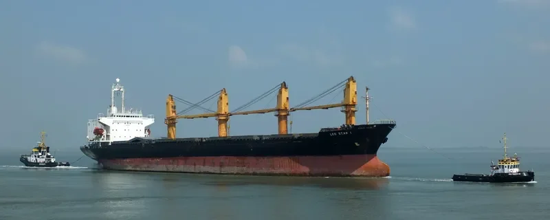 LEO STAR I Bulk Carrier IMO 9044011 photo 4