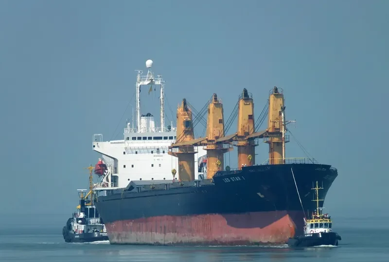 LEO STAR I Bulk Carrier IMO 9044011 photo 5