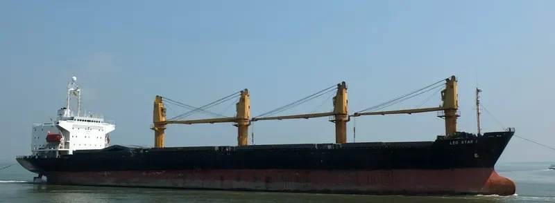 LEO STAR I Bulk Carrier IMO 9044011 photo 6