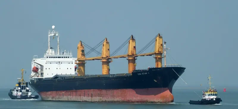 LEO STAR I Bulk Carrier IMO 9044011 photo 7