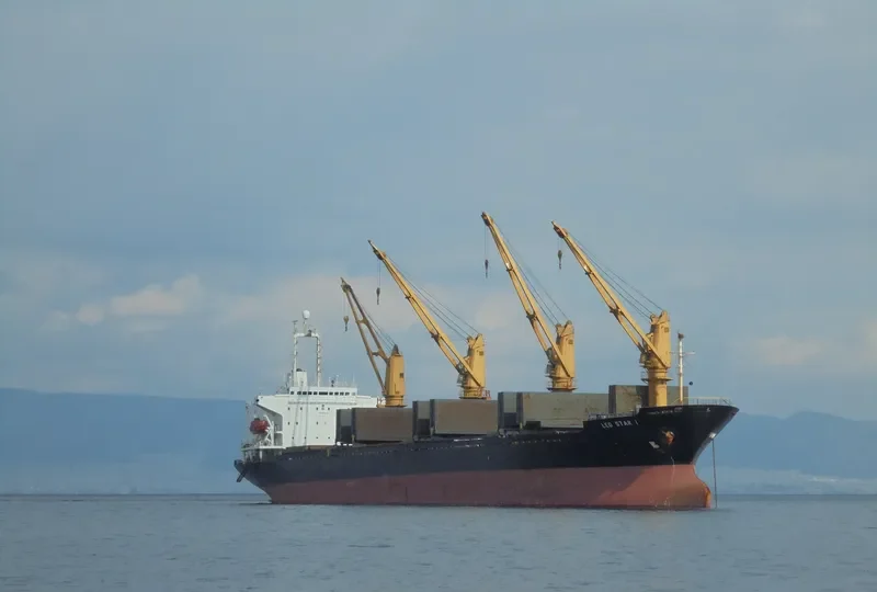 LEO STAR I Bulk Carrier IMO 9044011 photo 8