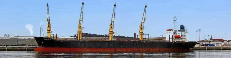 HUI SHUN Bulk Carrier IMO 9044023 photo 9