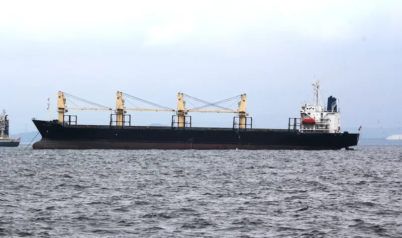 QI CHEN Bulk Carrier IMO 9044035