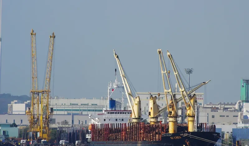 QI CHEN Bulk Carrier IMO 9044035 photo 2