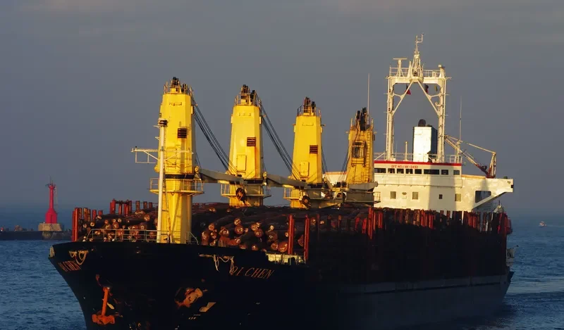 QI CHEN Bulk Carrier IMO 9044035 photo 3