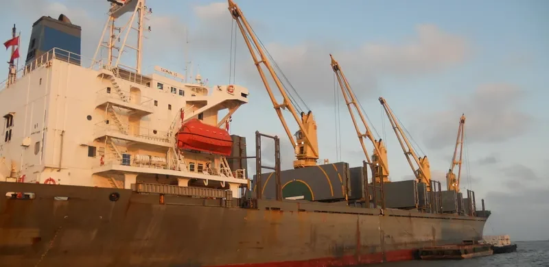 QI CHEN Bulk Carrier IMO 9044035 photo 4