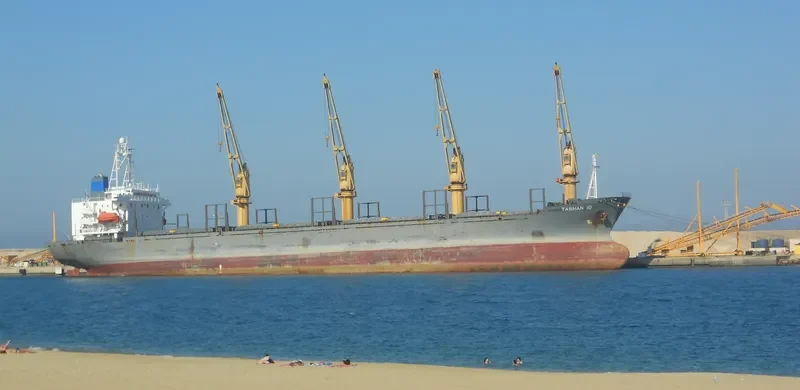 QI CHEN Bulk Carrier IMO 9044035 photo 5