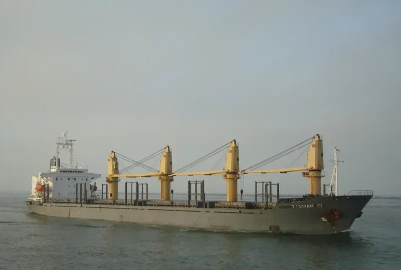QI CHEN Bulk Carrier IMO 9044035 photo 8