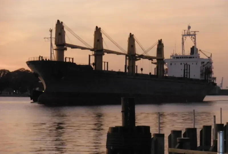 QI CHEN Bulk Carrier IMO 9044035 photo 10