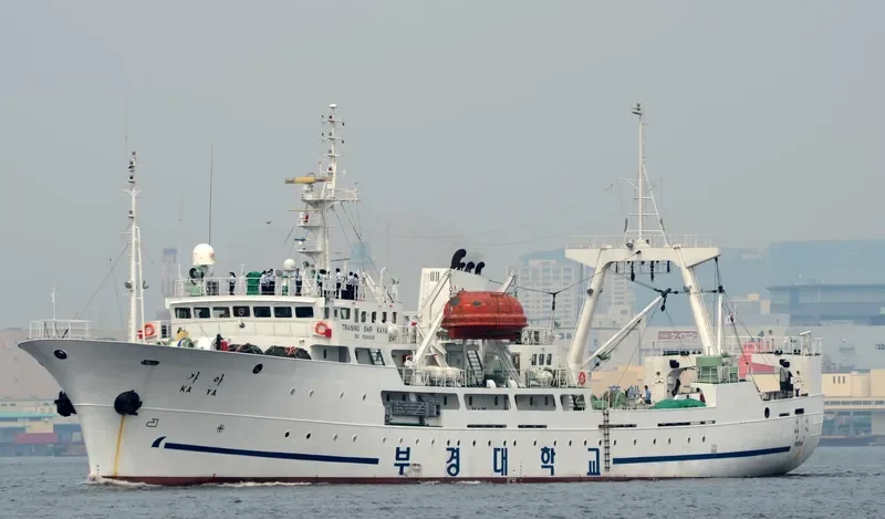 KAYA General Cargo IMO 9044126 photo 5