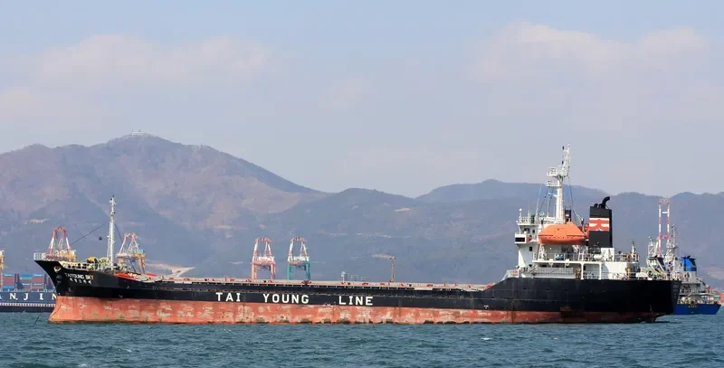 YOUNG SKY General Cargo IMO 9044176 photo 2