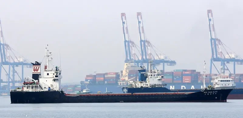 WOOYANG ELITE General Cargo IMO 9044255