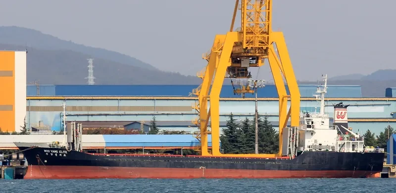 WOOYANG ELITE General Cargo IMO 9044255 photo 3
