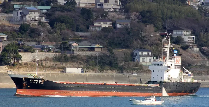 WOOYANG ELITE General Cargo IMO 9044255 photo 6