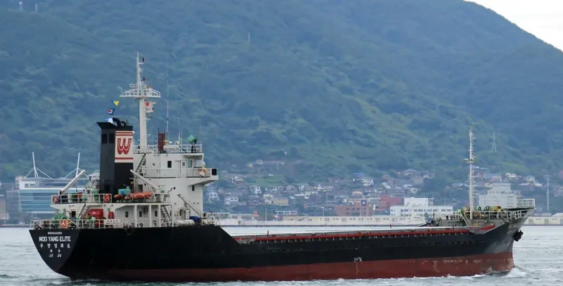 WOOYANG ELITE General Cargo IMO 9044255 photo 7