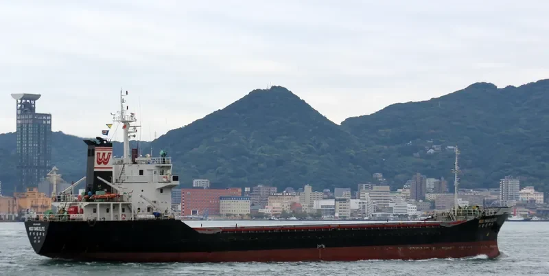 WOOYANG ELITE General Cargo IMO 9044255 photo 8