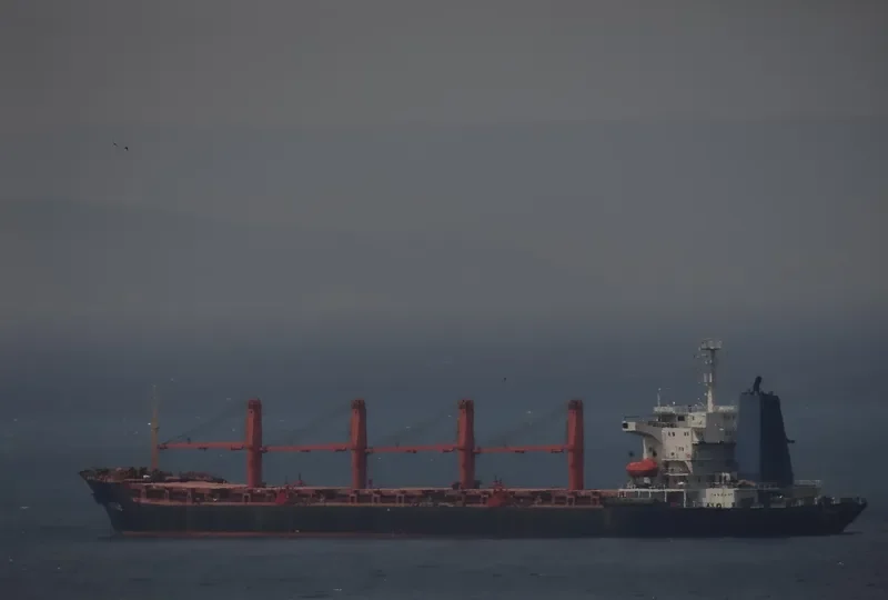 AL AIN Bulk Carrier IMO 9044281 photo 3