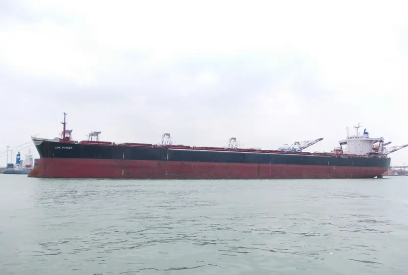 PIONEER Bulk Carrier IMO 9044322 photo 2
