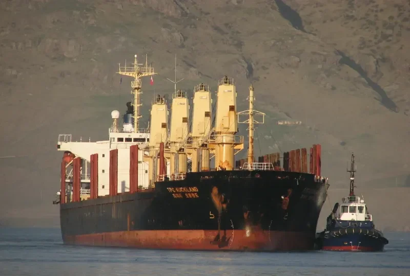 QUEBEC Bulk Carrier IMO 9044425 photo 6
