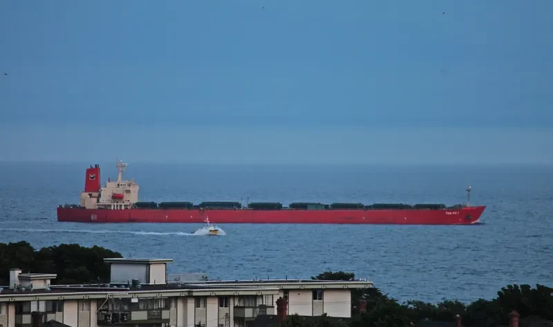 TUO FU 1 Bulk Carrier IMO 9044451 photo 4