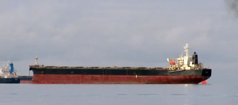 CHIKUZEN 8 Bulk Carrier IMO 9044463 photo 2