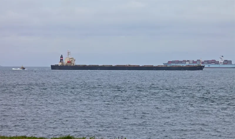 CHIKUZEN 8 Bulk Carrier IMO 9044463 photo 4