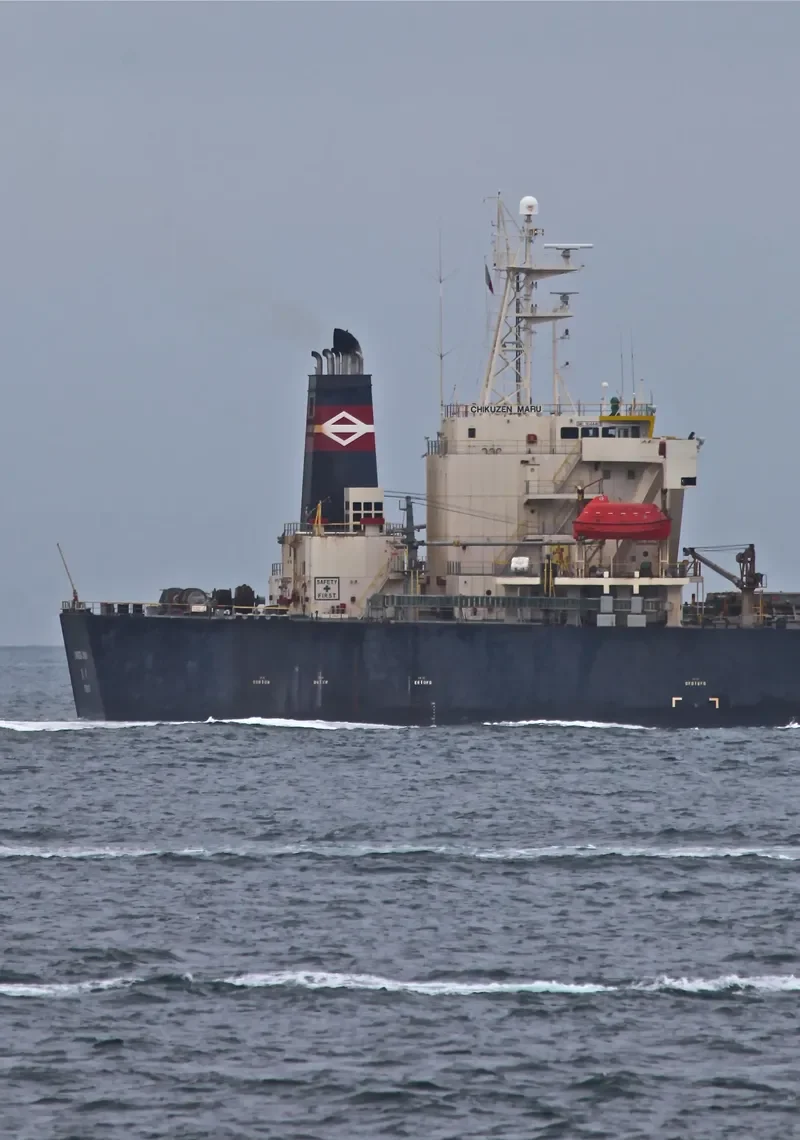 CHIKUZEN 8 Bulk Carrier IMO 9044463 photo 5