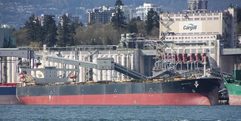 CHIKUZEN 8 Bulk Carrier IMO 9044463 photo 9