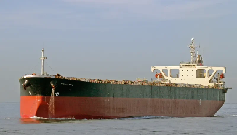 CHIKUZEN 8 Bulk Carrier IMO 9044463 photo 10