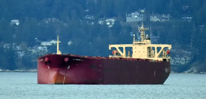 K.PROMISE Bulk Carrier IMO 9044475 photo 2