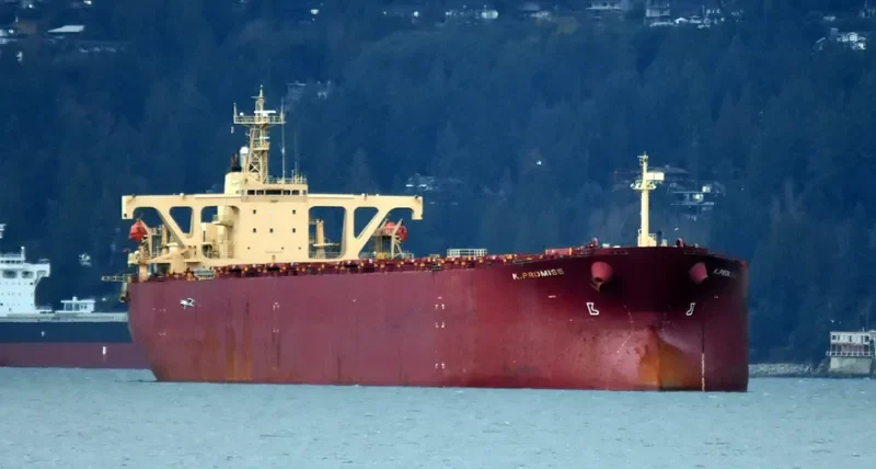 K.PROMISE Bulk Carrier IMO 9044475 photo 3