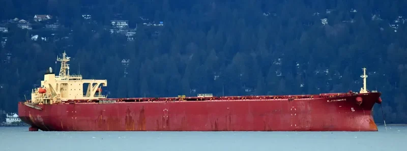 K.PROMISE Bulk Carrier IMO 9044475 photo 4