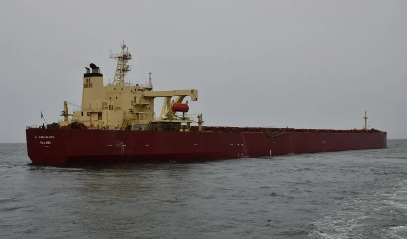 K.PROMISE Bulk Carrier IMO 9044475 photo 5