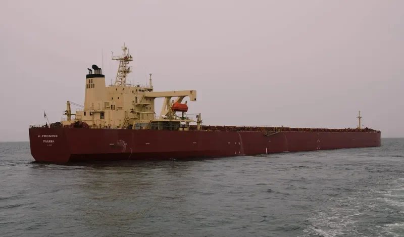 K.PROMISE Bulk Carrier IMO 9044475 photo 6