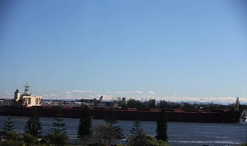 K.PROMISE Bulk Carrier IMO 9044475 photo 10