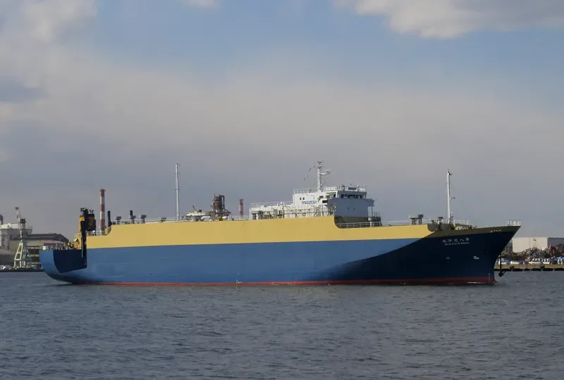 DHARMA RUCITRA 9 General Cargo IMO 9044516