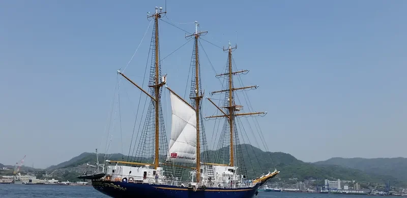 MIRAIE General Cargo IMO 9044528 photo 4