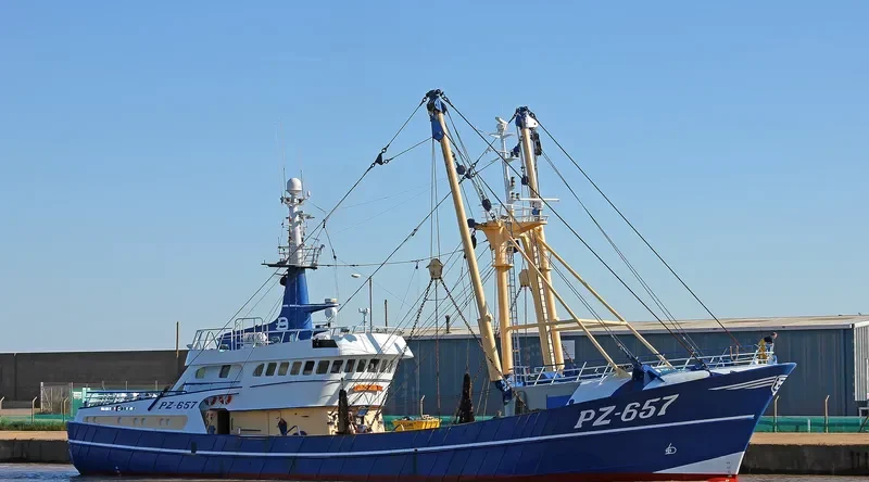 OUR ANNA General Cargo IMO 9044554