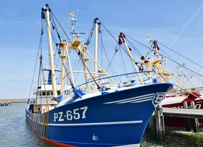 OUR ANNA General Cargo IMO 9044554 photo 3