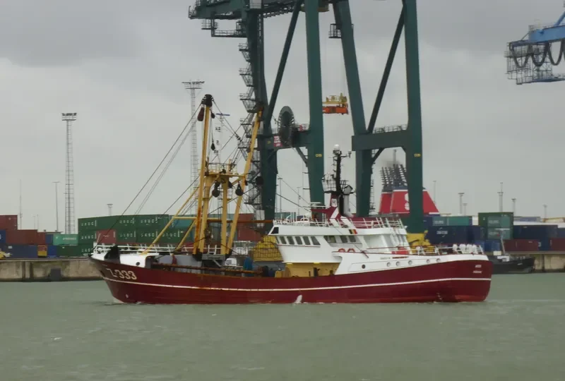 AVATAR General Cargo IMO 9044580