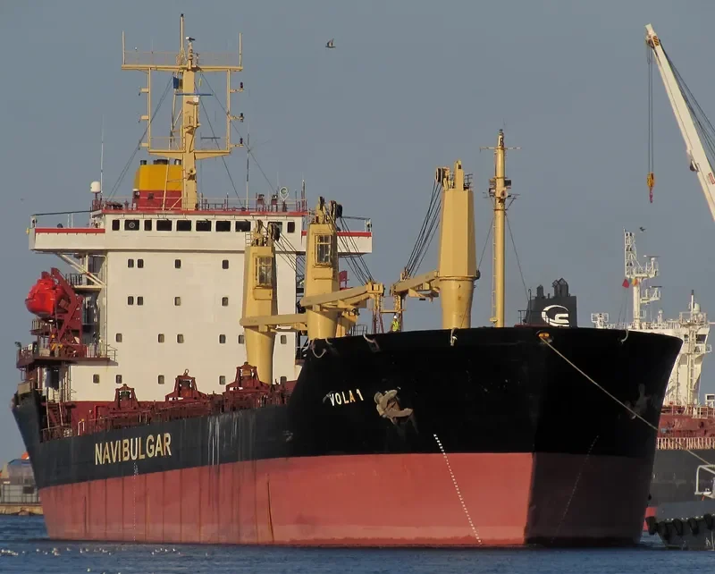 VOLA 1 Bulk Carrier IMO 9044700 photo 2