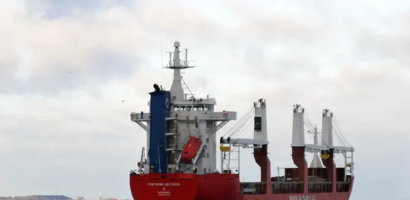 GRIGORIY SHELIKHOV General Cargo IMO 9044748 photo 2