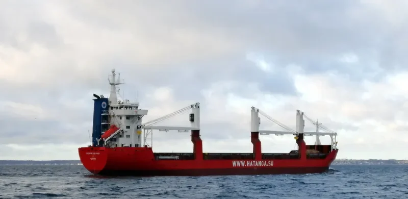 GRIGORIY SHELIKHOV General Cargo IMO 9044748 photo 3